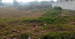 2 Kanal Residential Plot For Sale in DHA Phase 8 Ex Park View