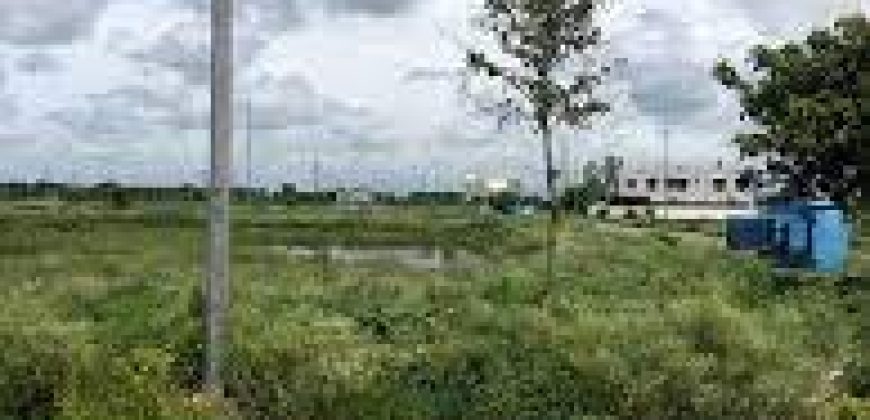 20 Marla residential plot for sale in DHA Phase 6 Block C