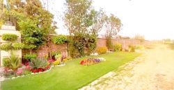 4 Kanal farmhouse for sale in Bedian Road out class location