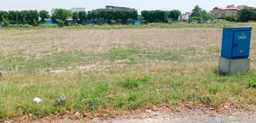 1166+1167 pair of one kanal plots available for sale located in DHA phase 6 block N