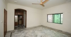 One kanal owner made solid house for sale in DHA Phase 1 Block N