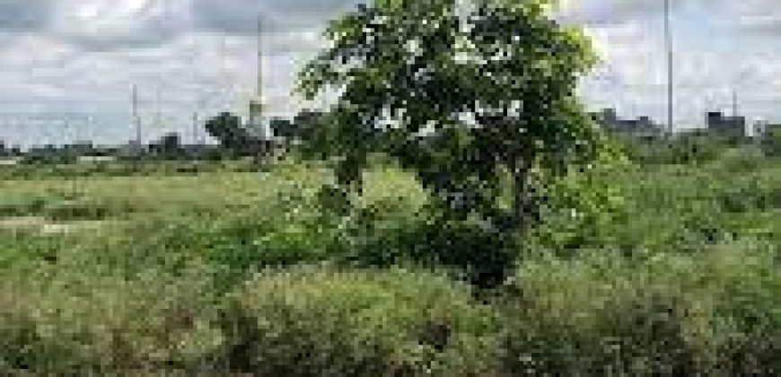 1 Kanal residential plot for sale in DHA phase 8 Eden City Block B