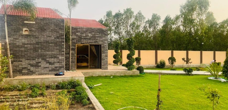 91 Marla farmhouse for sale in Bedian Road Lahore