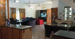 10 Marla modern design house for rent in DHA Phase 4