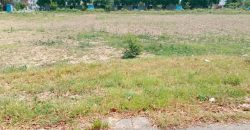 1 Kanal pair plot for sale in DHA Phase 6 Block N