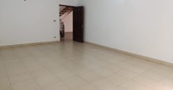 1 Kanal modern design full basement house for sale in DHA Phase 8 Ex Park View