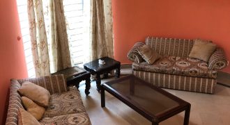 1 kanal upper portion fully furnished for rent in DHA Phase 8 Ex Park View Block F